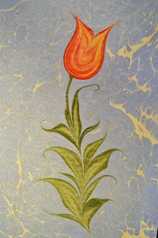 Ebru Menekşe Nasıl Yapılır? 3