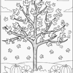 5-6 Yaş Boyama Sayfaları 17