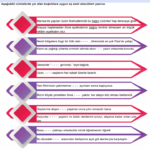 Eş Sesli Kelimeler Etkinlikleri 25