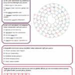 Eş Sesli Kelimeler Etkinlikleri 26