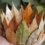 Sonbahar Şapkası Okul Öncesi 20