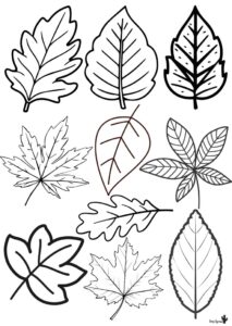 Sonbahar Şapkası Okul Öncesi 3