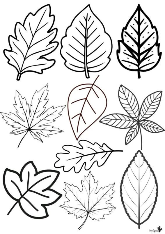 Sonbahar Şapkası Okul Öncesi 3