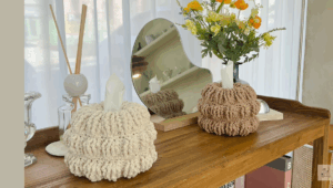 Yuvarlak Örgü Peçetelik Yapımı 2