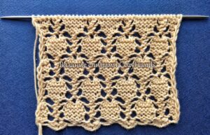 İki Şişle Çilek Örgü Modeli Yapılışı 1