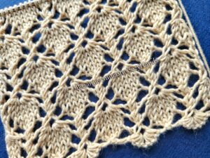 İki Şişle Çilek Örgü Modeli Yapılışı 2