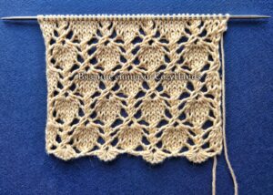 İki Şişle Çilek Örgü Modeli Yapılışı