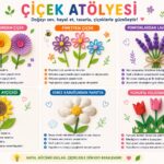 Yaz Tatili Etkinlik Fikirleri 13