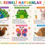 Yaz Tatili Etkinlik Fikirleri 14