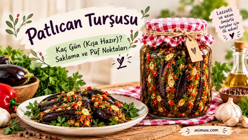 Sirkesiz Patlıcan Turşusu Nasıl Yapılır? 8