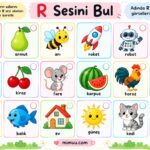 R Sesi Etkinlikleri Çalışma Kağıtları 31