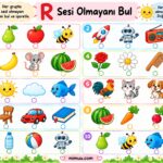 R Sesi Etkinlikleri Çalışma Kağıtları 32